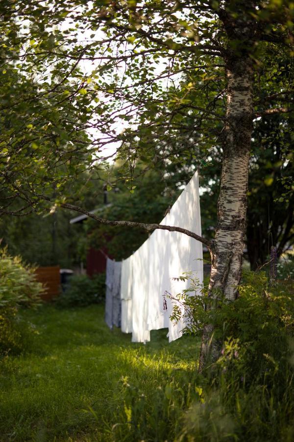 Kolin Mattila B&B Kolinkylä Zewnętrze zdjęcie