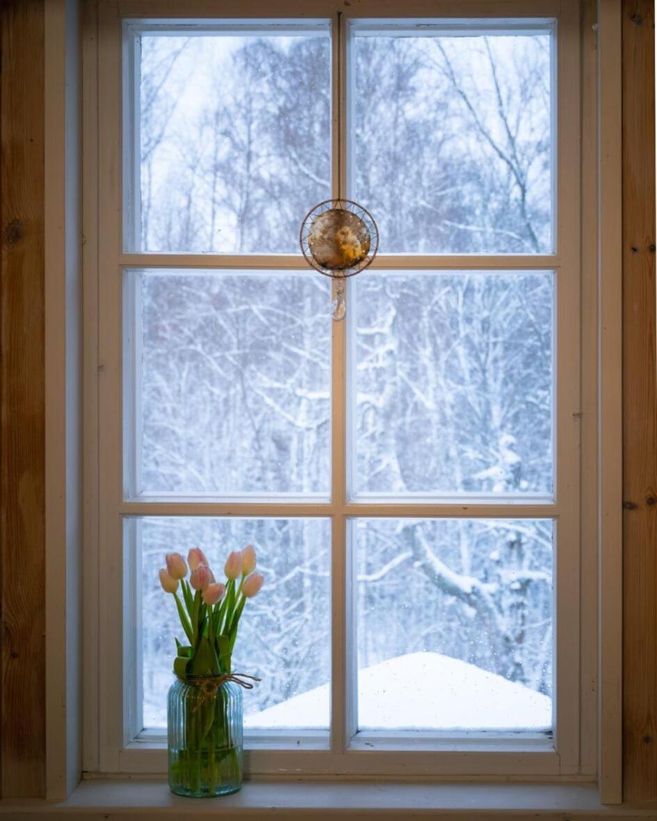 Kolin Mattila B&B Kolinkylä Zewnętrze zdjęcie