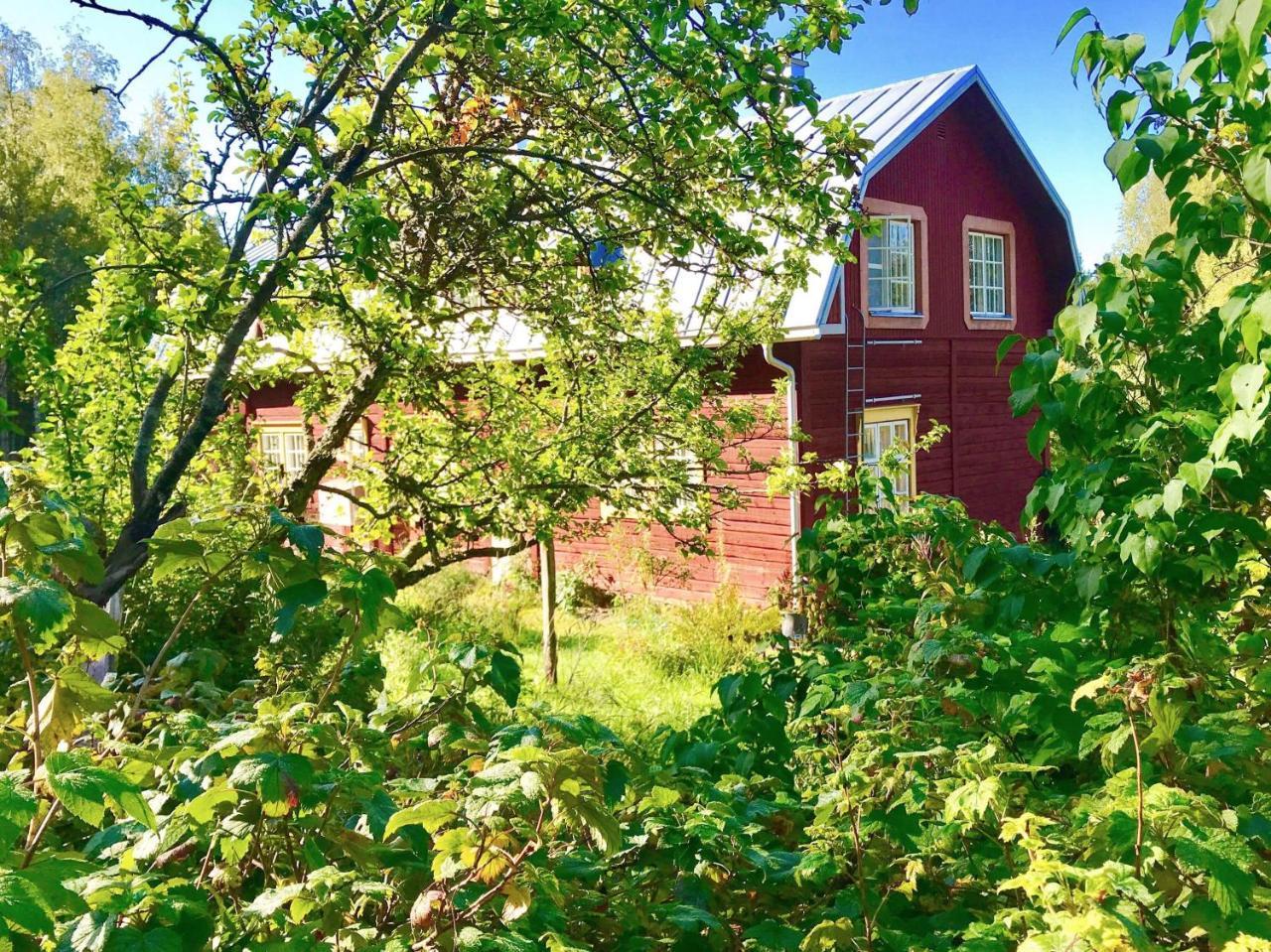 Kolin Mattila B&B Kolinkylä Zewnętrze zdjęcie
