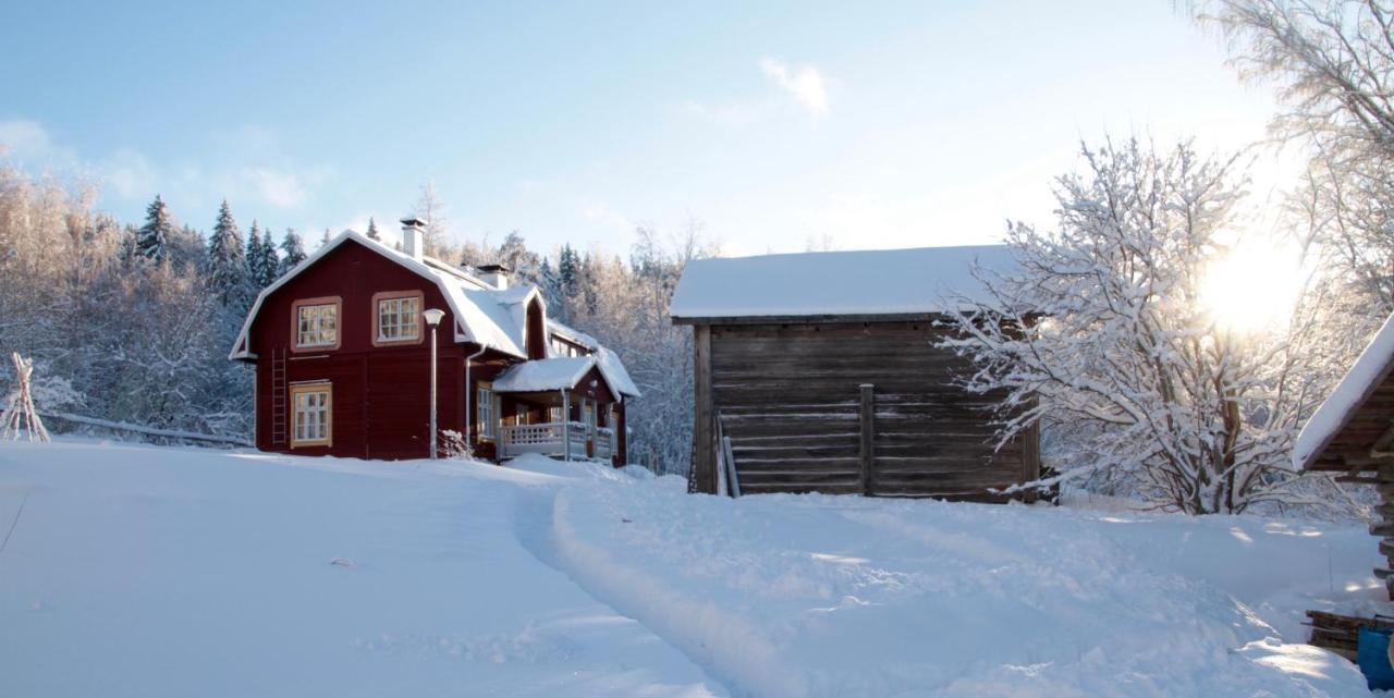 Kolin Mattila B&B Kolinkylä Zewnętrze zdjęcie